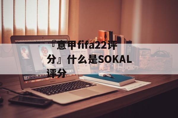 『意甲fifa22评分』什么是SOKAL评分